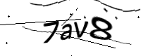 captcha_img